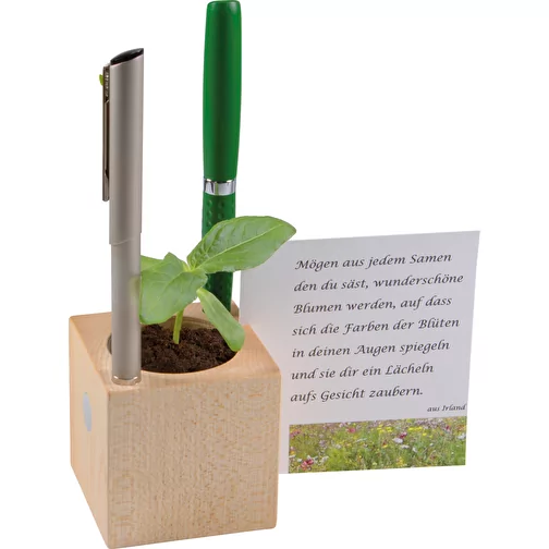 Pot cube bois de bureau avec graines - Mélange d herbes aromatiques, 2 sites gravés au laser, Image 2