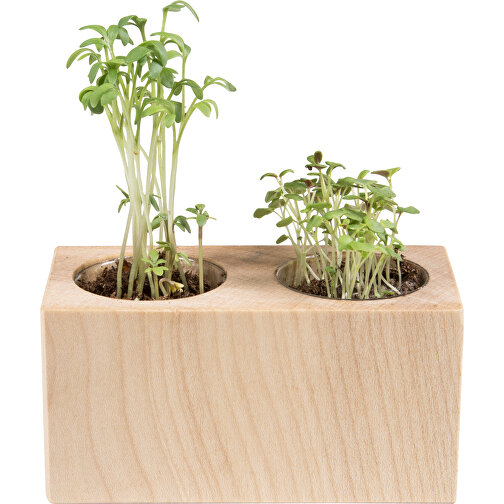 Pot bois 2 compartiments avec graines - Cresson de jardin, Image 1