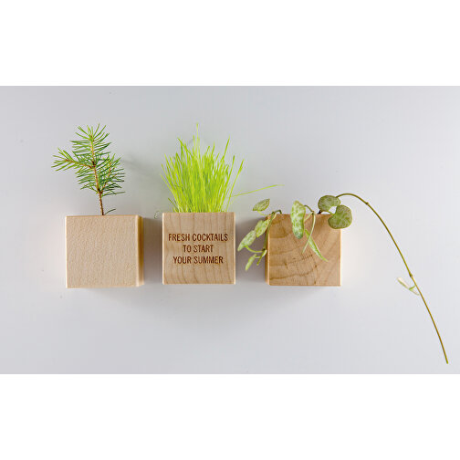 Magnete di legno per piante - Girasole, Immagine 2