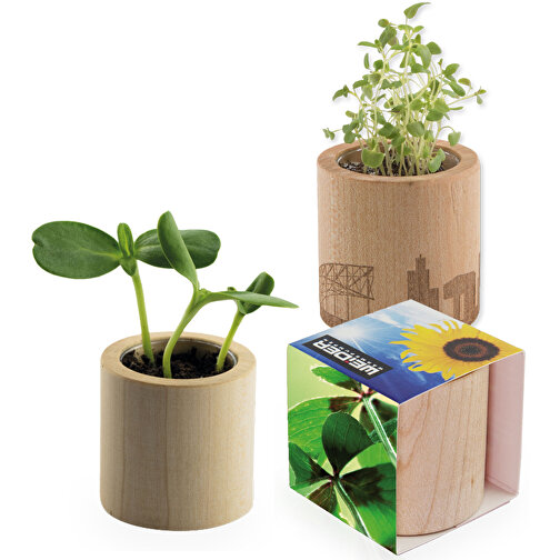Pot rond en bois avec graines - Bulbes de trèfle à 4 feuilles,Gravure laser 360°, Image 1