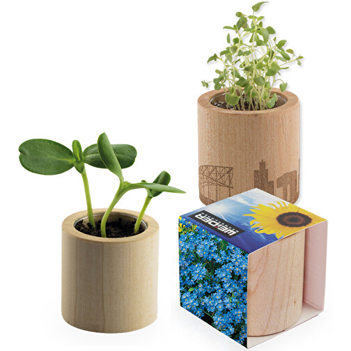 Plant Wood Round inc. Laser - Forget-me-not, Obraz 1