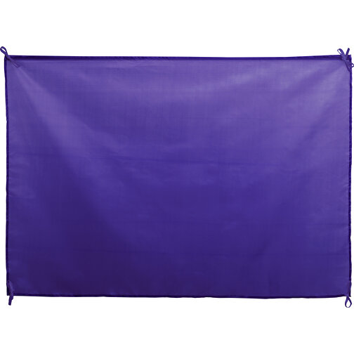 Fahne DAMBOR , lila, Polyester, 100,00cm x 70,00cm (Länge x Breite), Bild 1