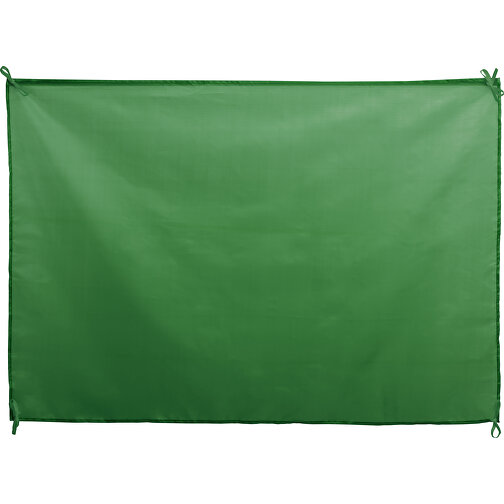 Fahne DAMBOR , grün, Polyester, 100,00cm x 70,00cm (Länge x Breite), Bild 1