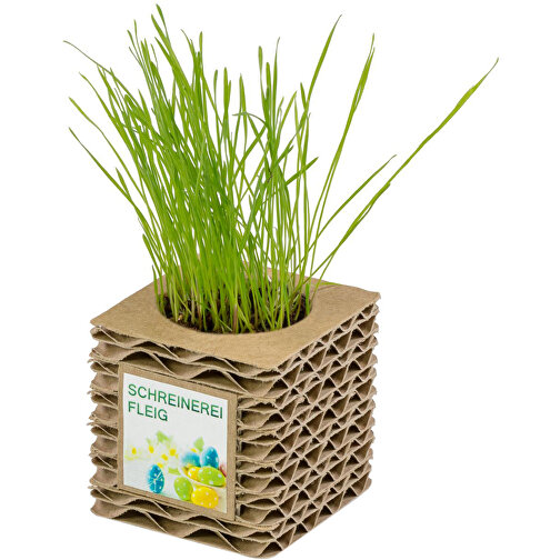 Pot cube mini en carton ondulé avec graines - Cresson de jardin, Image 2