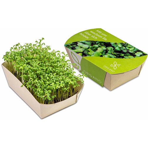 Giardino dei microgreens - Crescione, Immagine 1