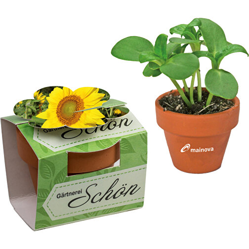 Tontöpfchen-Blume Mit Samen - Sonnenblume , individuell, Saatgut,Papier,Ton,Erde, 4,00cm (Höhe), Bild 1