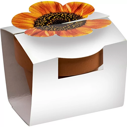 Mini pot terre cuite en fourreau fleur avec graines - Bulbes de trèfle à 4 feuilles, Image 6
