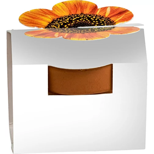 Mini pot terre cuite en fourreau fleur avec graines - Bulbes de trèfle à 4 feuilles, Image 7