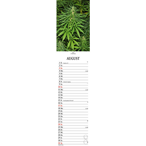 Plantes médicinales, Image 16