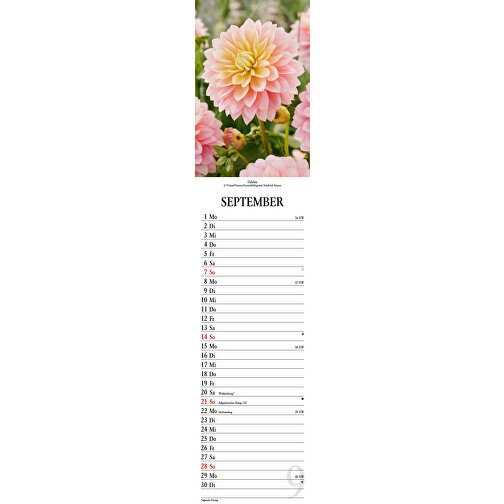 Blumenträume , Papier, 45,80cm x 9,50cm (Höhe x Breite), Bild 18