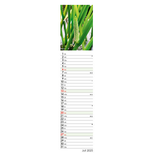 Wunderwelt Heilpflanzen , Papier, 55,30cm x 11,30cm (Höhe x Breite), Bild 14