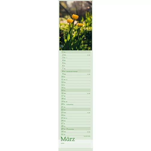 , Bild 6