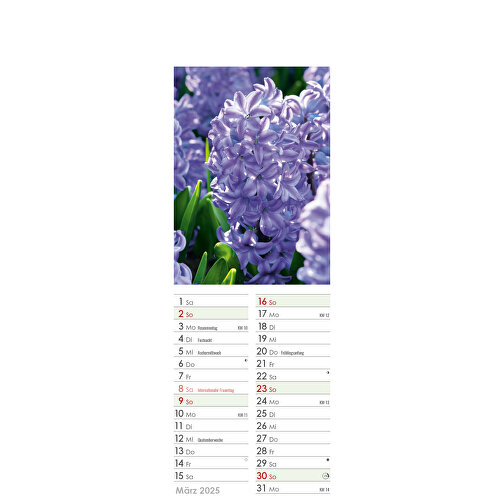 Farbige Blumenwelt , Papier, 34,00cm x 11,90cm (Höhe x Breite), Bild 6