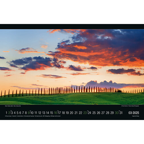 Licht Und Landschaft , Papier, 38,80cm x 49,50cm (Höhe x Breite), Bild 4