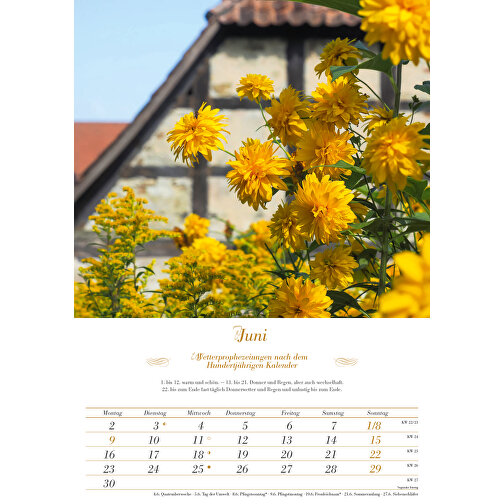 100-Jähriger Kalender Mit Wetterprognosen , Papier, 47,80cm x 29,70cm (Höhe x Breite), Bild 7