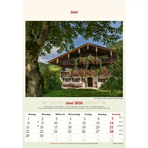 , Bild 7