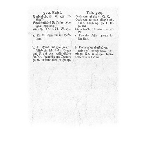 Aus Alten Pflanzenbüchern , Papier, 34,00cm x 23,70cm (Höhe x Breite), Bild 11
