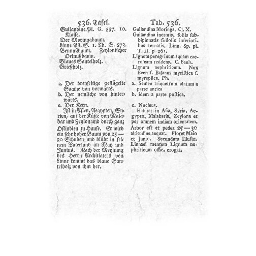 Aus Alten Pflanzenbüchern , Papier, 34,00cm x 23,70cm (Höhe x Breite), Bild 3