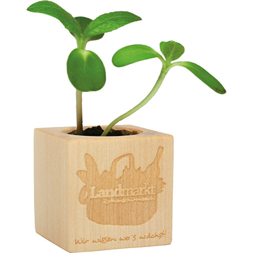 Drewno do sadzenia - motyw standardowy - slonecznik z 2 stron laserowany, Obraz 2