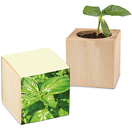 Plant Wood Grass Paper - Basil, Bild 1