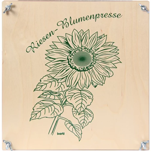 Presse-fleurs géant 30 x 30 cm, Image 1