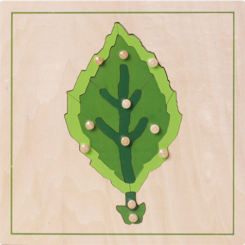Botanische Puzzles , , 24,00cm x 6,00cm x 24,00cm (Länge x Höhe x Breite), Bild 1