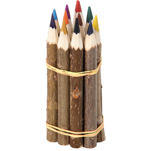 Juego de 12 lápices de colores en forma de rama, Imagen 1