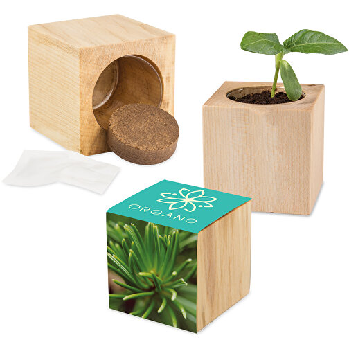 Pot cube bois maxi avec graines - Epicéa, Image 1