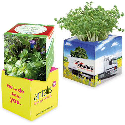 Cube à planter 2.0 avec graines - Mélange d herbes aromatiques, Image 1