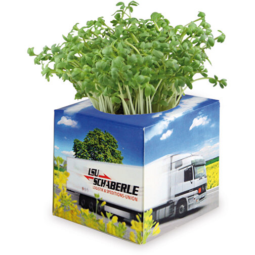 Cube à planter 2.0 avec graines - Cresson de jardin, Image 4
