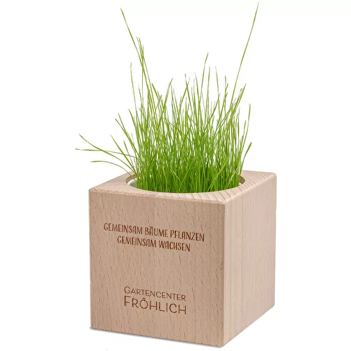 Plante-bois Grande avec graines - Cresson de jardin, Image 2