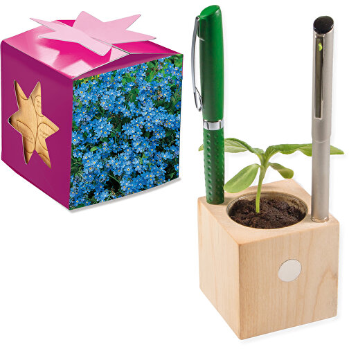 Pot cube boisde bureau en boite star-box avec graines - Myosotis, 1 sites gravés au laser, Image 1