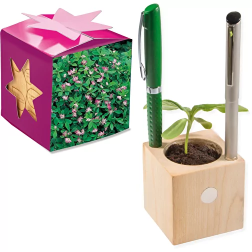 Pot cube boisde bureau en boite star-box avec graines - Trèfle persan, Image 1