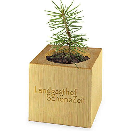 Caja Plant Wood Maxi Star - Nomeolvides, 2 caras con láser, Imagen 2