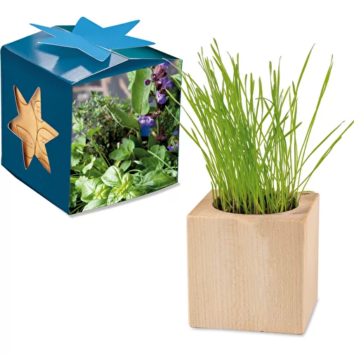 Pot cube bois Maxi en boite star-box avec graines - Mélange d herbes aromatiques, 2 sites gravés , Image 1