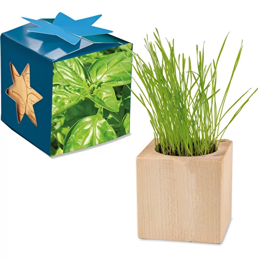 Pot cube bois Maxi en boite star-box avec graines - Basilic, 2 sites gravés au laser, Image 1