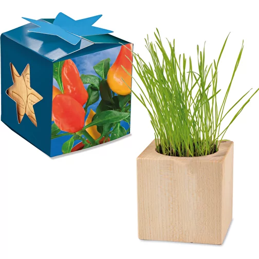 Pot cube bois Maxi en boite star-box avec graines - Piment, 1 sites gravés au laser, Image 1