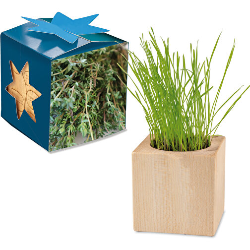 Jardinera de madera Maxi Star Box - Tomillo, sin acristalar, Imagen 1