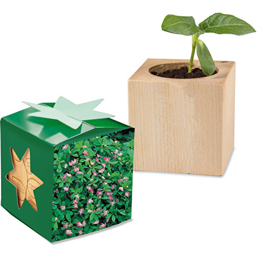 Pot cube bois mini en boite star-box avec graines - Trèfle persan, 1 sites gravés au laser, Image 1