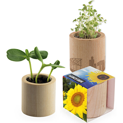 Pot rond en bois avec graines - Tournesol, gravure laser, Image 1