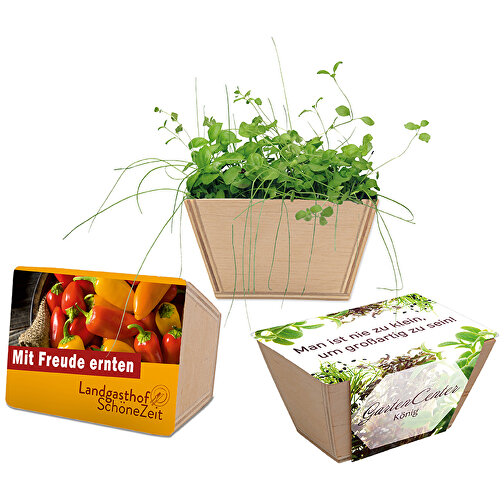 Mini-jardinière bois avec graines - Mélange d herbes aromatiques, Image 5