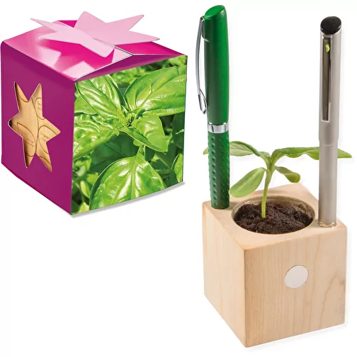Pot cube boisde bureau en boite star-box avec graines - Basilic, Image 1