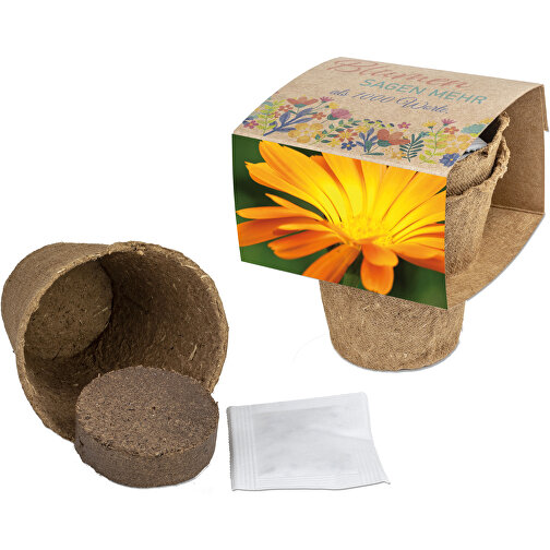 Kit de culture avec graines - Souci, Image 1