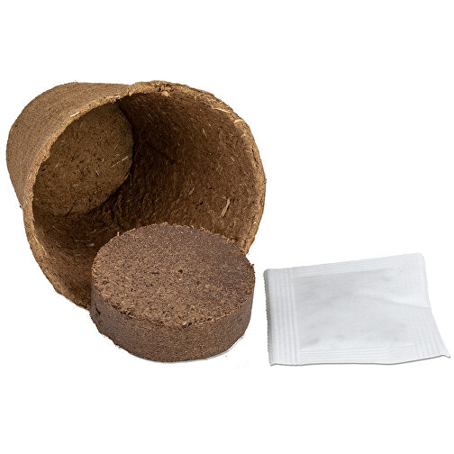 Anzucht-Set Mit Samen - Kräutermischung , individuell, Saatgut, Papier, 6,20cm x 7,50cm x 6,50cm (Länge x Höhe x Breite), Bild 3
