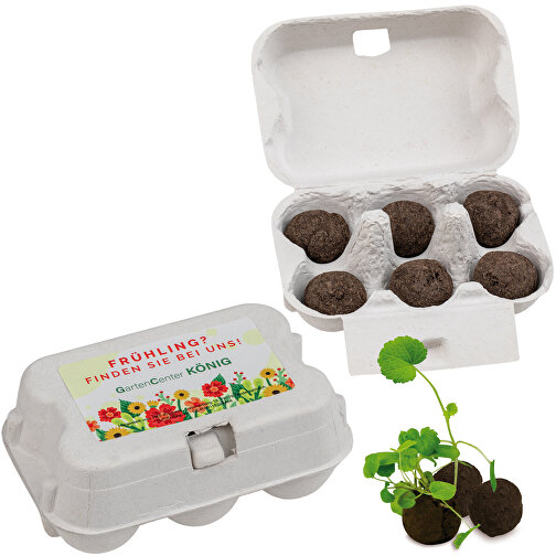 Six pack - boules de fleurs midi avec graines avec graines, Image 1