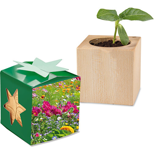 Plantning Wood Star Box - Sommerblomst, 2 sider laseret, Billede 1