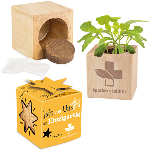 Pot cube bois mini en boite star-box, de Pâques avec graines - mini-aubergine, 2 sites gravés au , Image 1