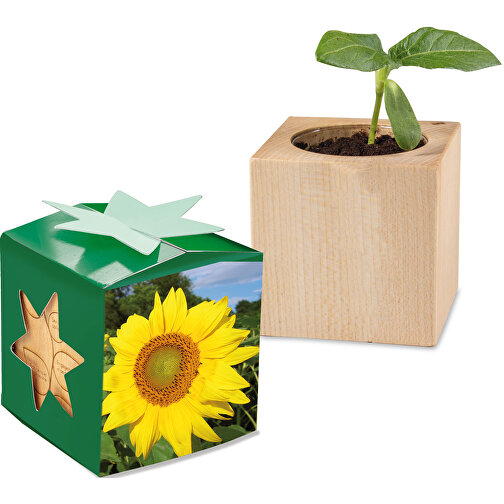 Cassetta di legno per piante - Girasole, 1 lato laserato, Immagine 1