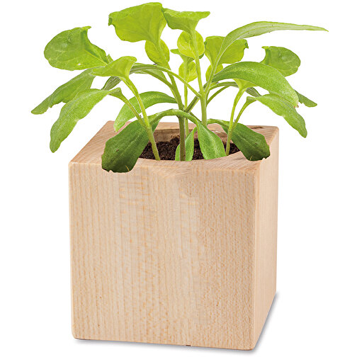 Pot cube bois mini en boite star-box, de Pâques avec graines - mini-aubergine, Image 3