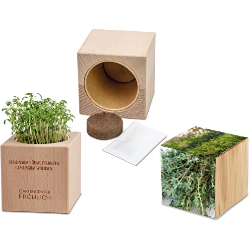 Plante-bois Grande avec graines - Thym, Image 1